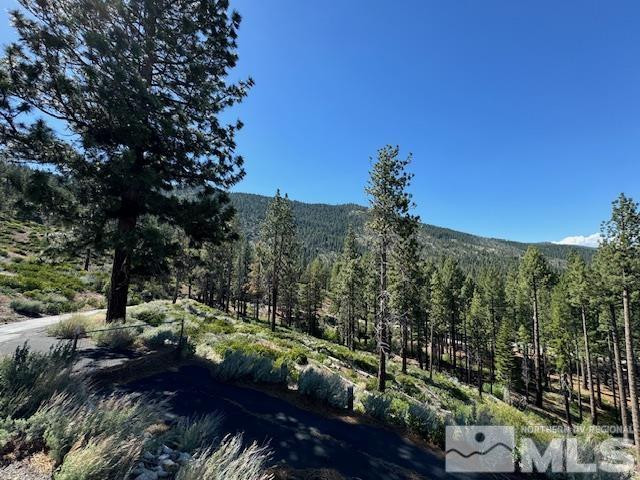2900 Old Ranch Road Washoe Valley, NV 89704 - Photo 15 of 24 Photo 15