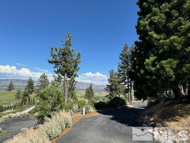 2900 Old Ranch Road Washoe Valley, NV 89704 - Photo 16 of 24 Photo 16