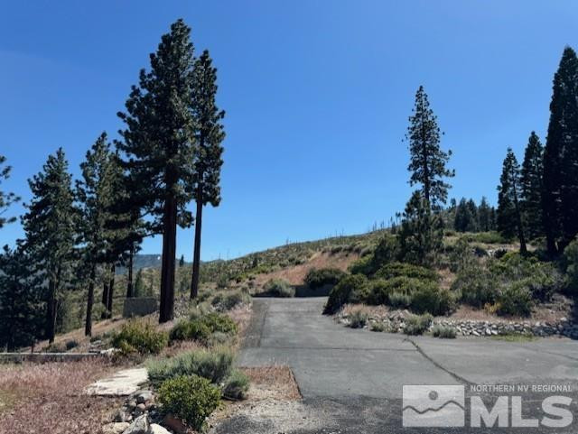 2900 Old Ranch Road Washoe Valley, NV 89704 - Photo 18 of 24 Photo 18
