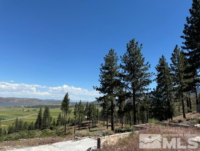2900 Old Ranch Road Washoe Valley, NV 89704 - Photo 20 of 24 Photo 21