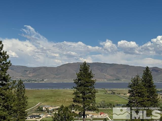 2900 Old Ranch Road Washoe Valley, NV 89704 - Photo 2 of 24 Photo 2