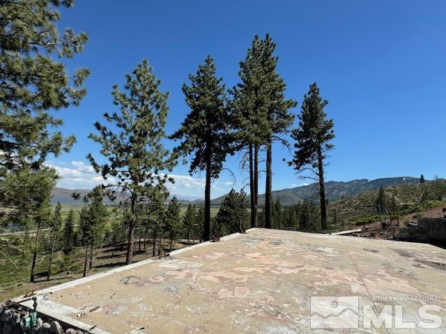 2900 Old Ranch Road Washoe Valley, NV 89704 - Photo 23 of 24 Photo 24