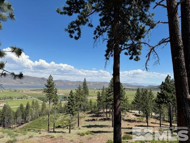 2900 Old Ranch Road Washoe Valley, NV 89704 - Photo 3 of 24 Photo 3