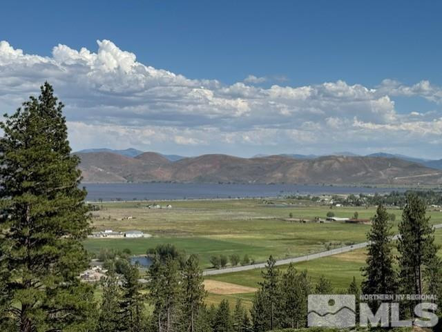 2900 Old Ranch Road Washoe Valley, NV 89704 - Photo 4 of 24 Photo 4