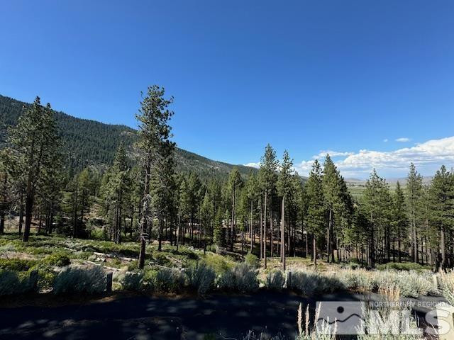 2900 Old Ranch Road Washoe Valley, NV 89704 - Photo 6 of 24 Photo 6