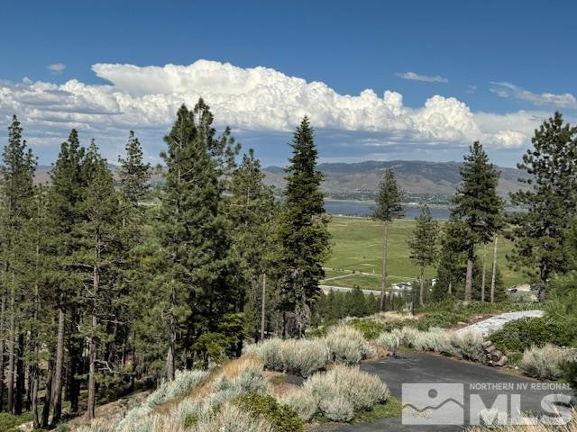 2900 Old Ranch Road Washoe Valley, NV 89704 - Photo 7 of 24 Photo 7