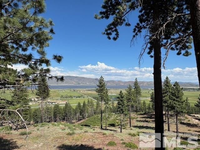 2900 Old Ranch Road Washoe Valley, NV 89704 - Photo 8 of 24 Photo 8
