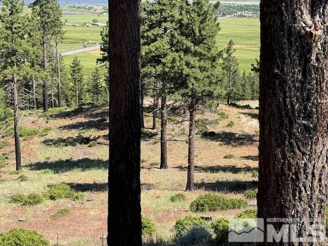 2900 Old Ranch Road Washoe Valley, NV 89704 - Photo 9 of 24 Photo 9