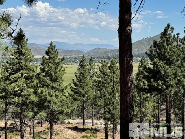 2900 Old Ranch Road Washoe Valley, NV 89704 - Photo 10 of 24 Photo 10