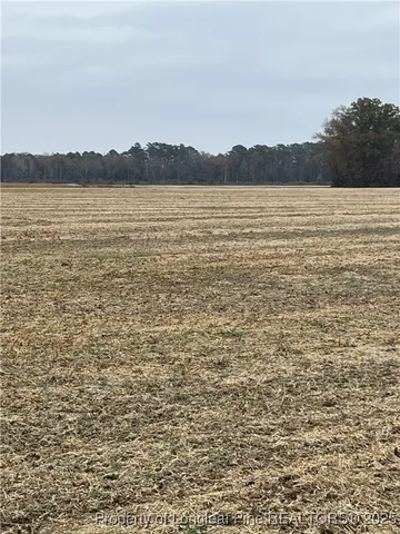 $52,000 | Lot 3 Highway 710, Rowland, NC 28383