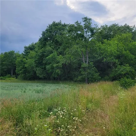 a view of a lush green space
