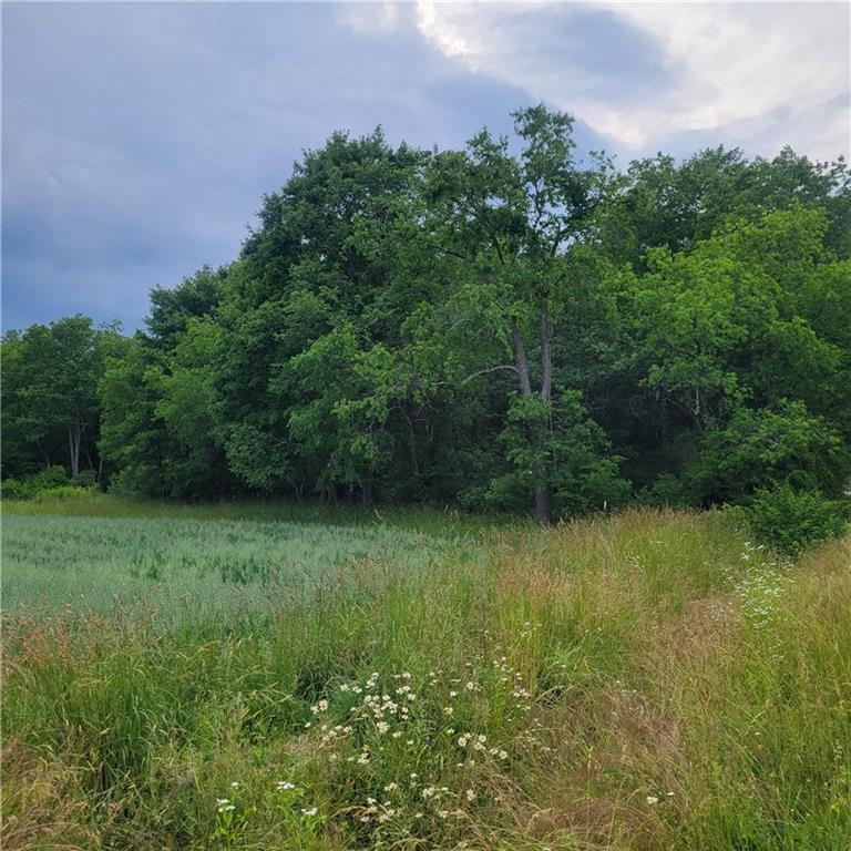2 McDowell Road Kennerdell, PA 16374 - Photo 3 of 9 a view of a lush green space
