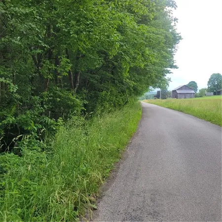 a view of a road with a yard