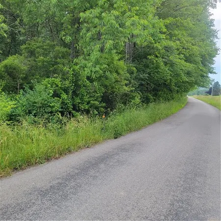 a view of a road with a yard