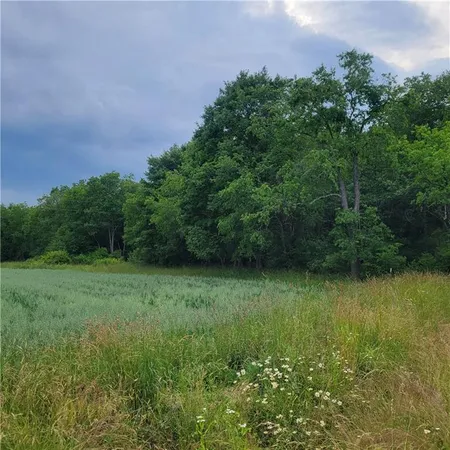 a view of a garden with a lake