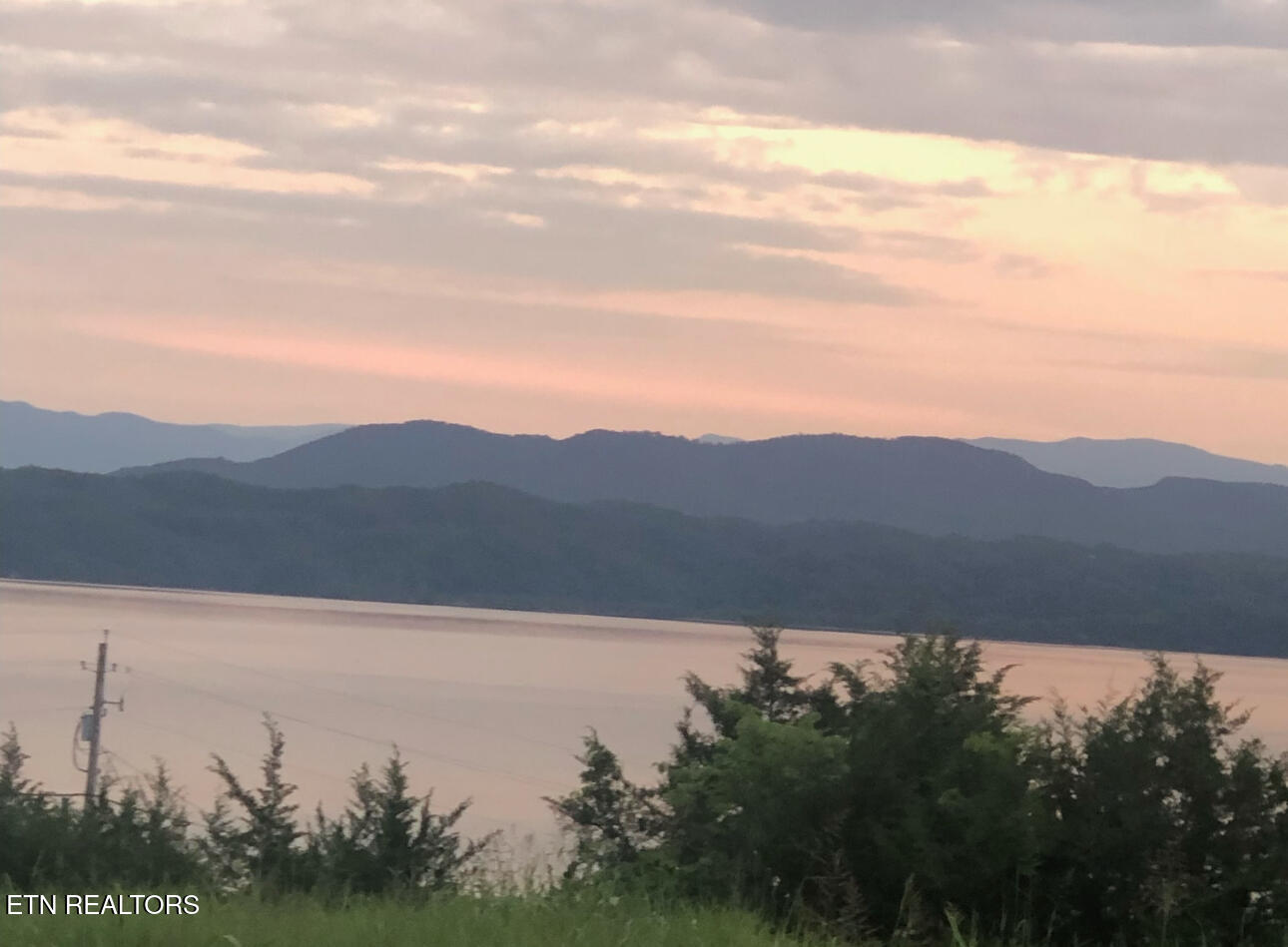 Ivy Way Newport, TN 37821 - Photo 11 of 11 IMG_5144