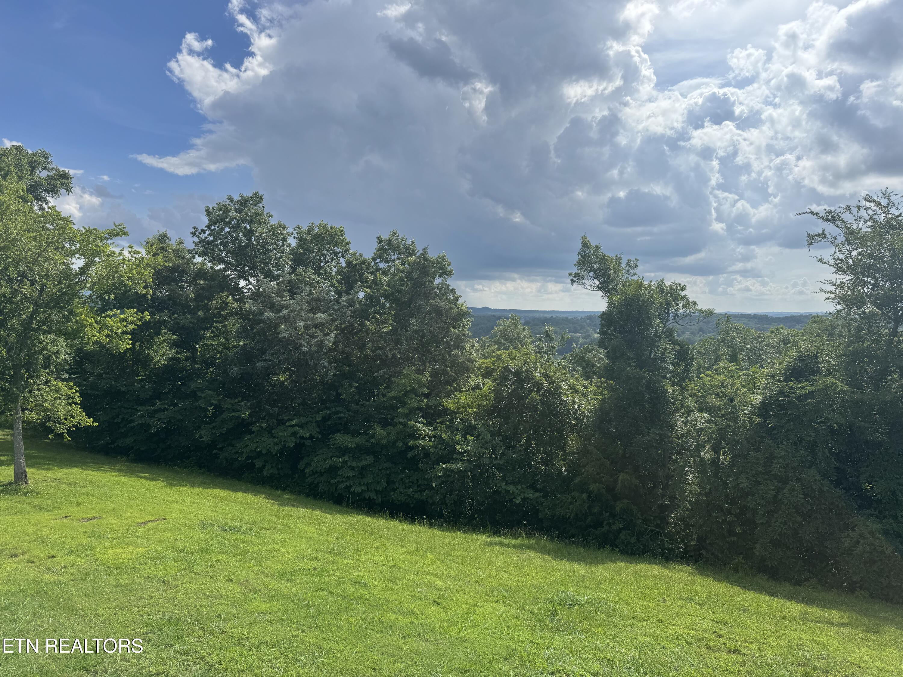 Ivy Way Newport, TN 37821 - Photo 4 of 11 IMG_5128