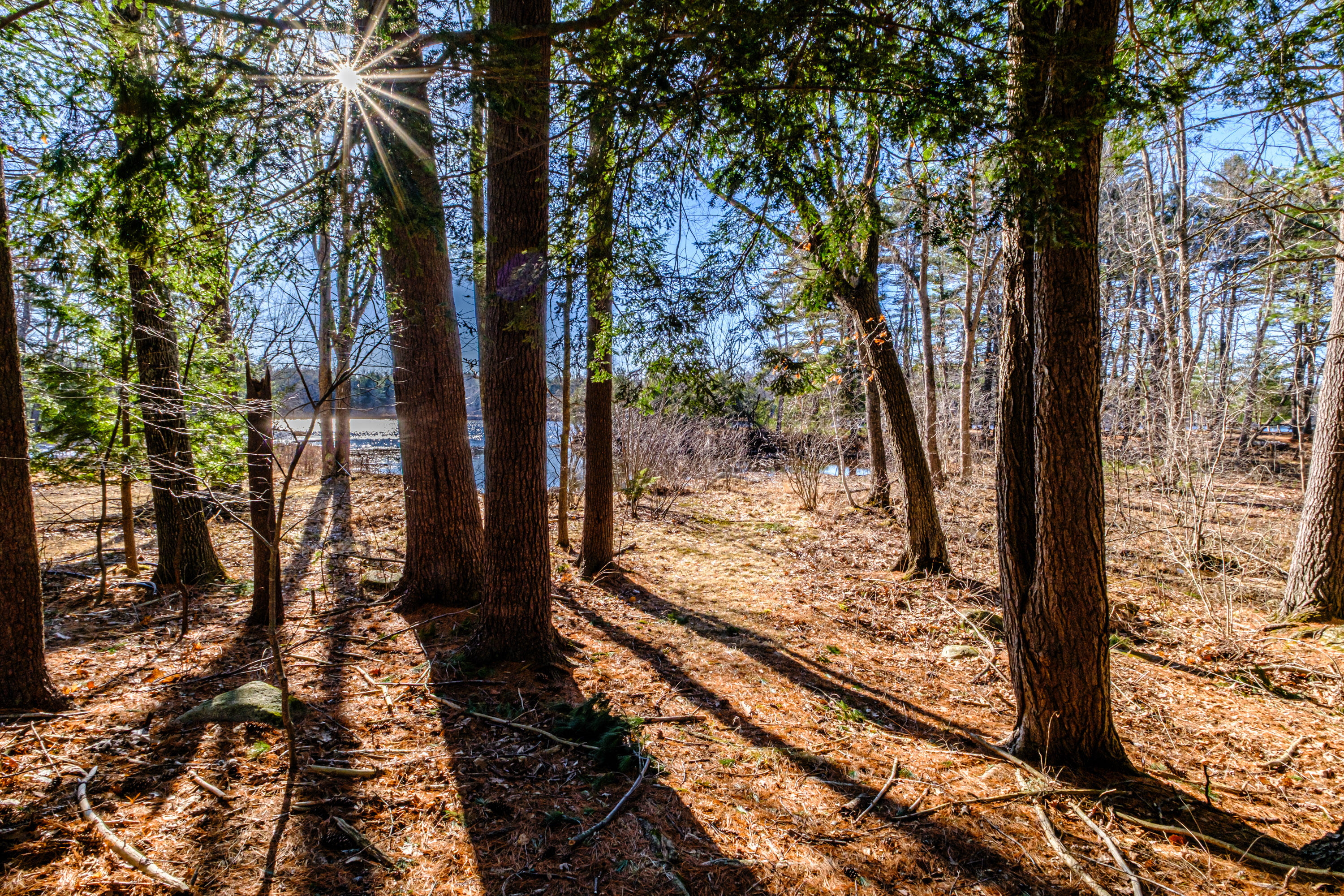 1 Roosevelt Trail Windham, ME 04062 - Photo 74 of 77 2026027gp-62113