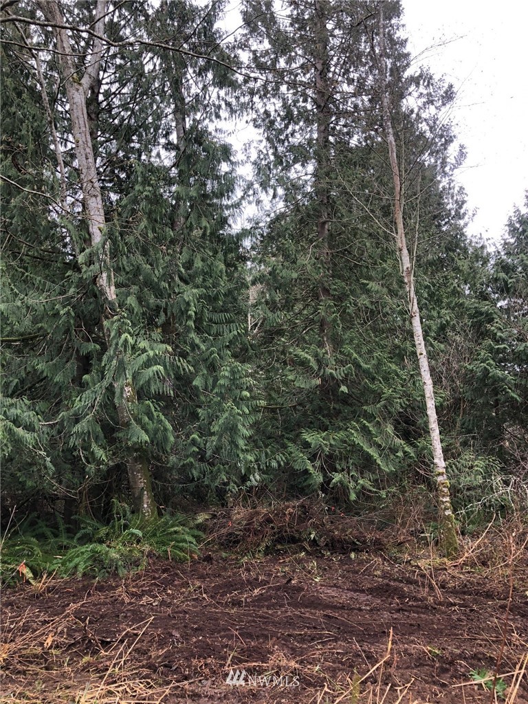 17 Rex Street Point Roberts, WA 98281 - Photo 4 of 8 Gallery Image 4