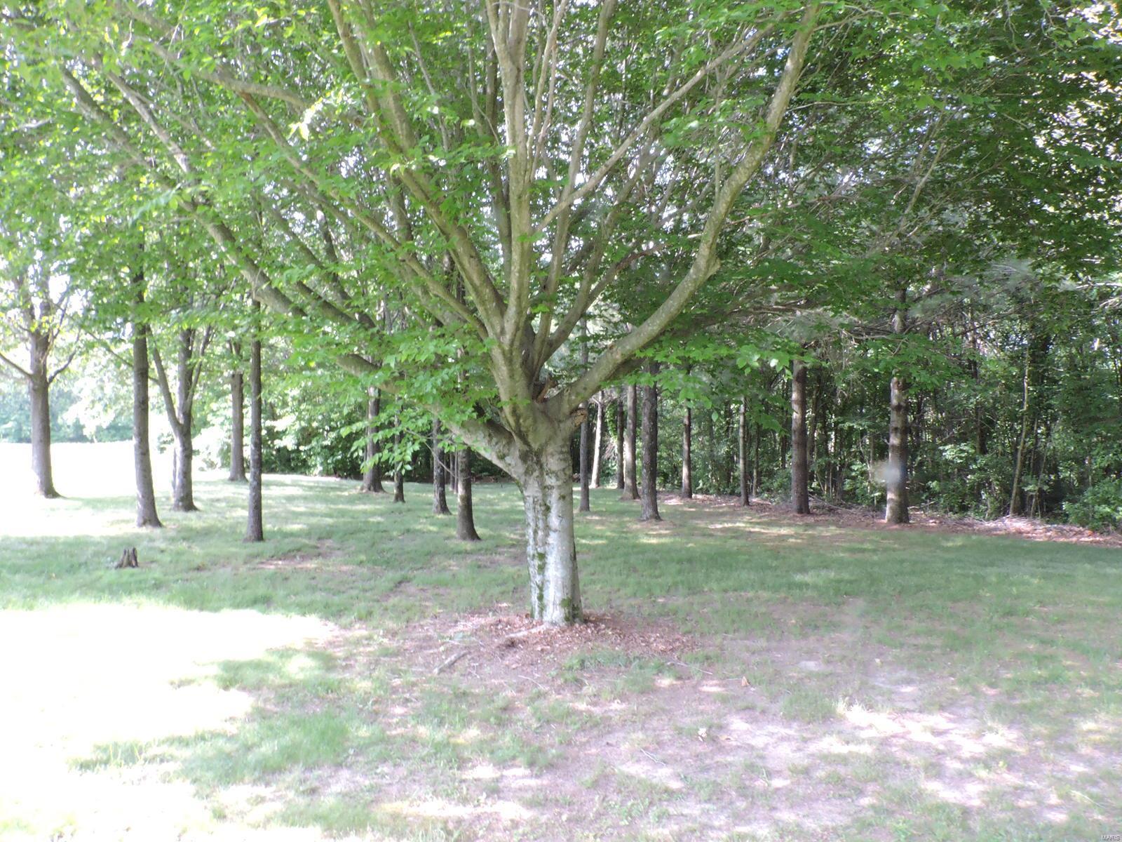 0 Gum Ridge Road Ava, IL 62907 - Photo 3 of 11 Gallery Image 3