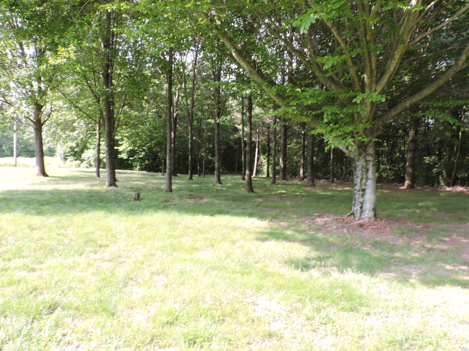 0 Gum Ridge Road Ava, IL 62907 - Photo 4 of 11 Gallery Image 4