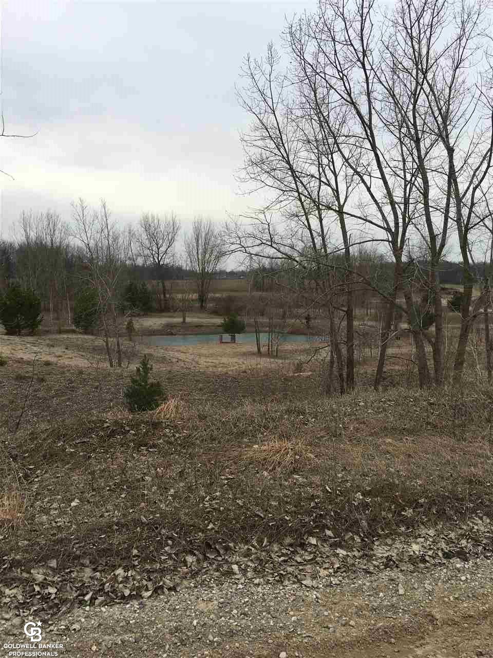 2460 West Harrington Road Croswell, MI 48422 - Photo 56 of 85 31282948-56.JPG
