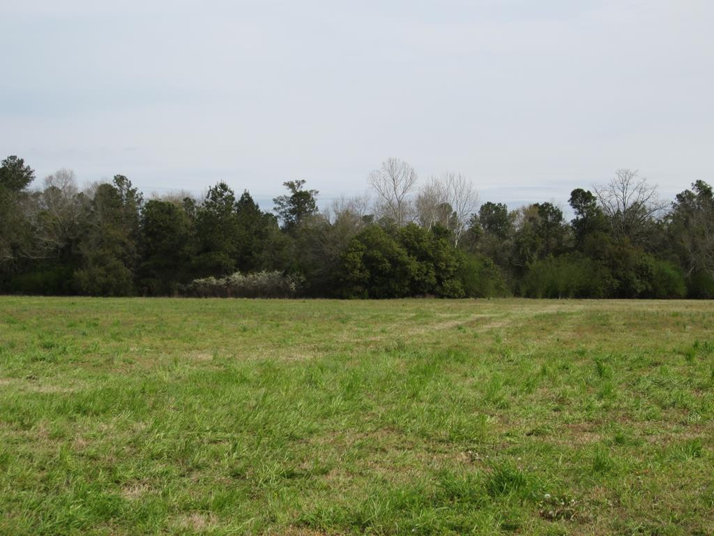 180 Harness Road Batesburg, SC 29006 - Photo 23 of 28