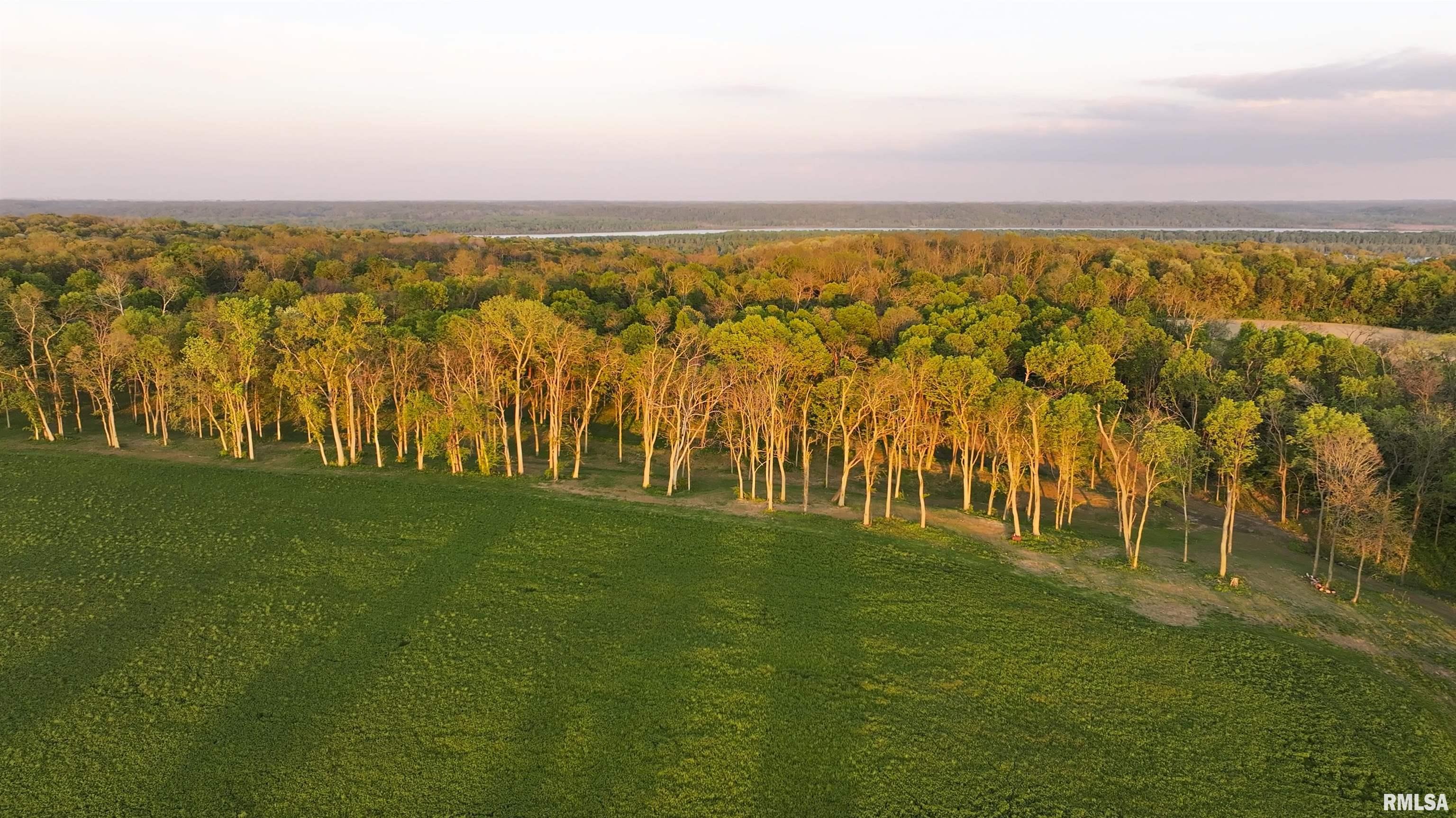 0 North Hardscrabble Road Sparland, IL 61565 - Photo 12 of 19