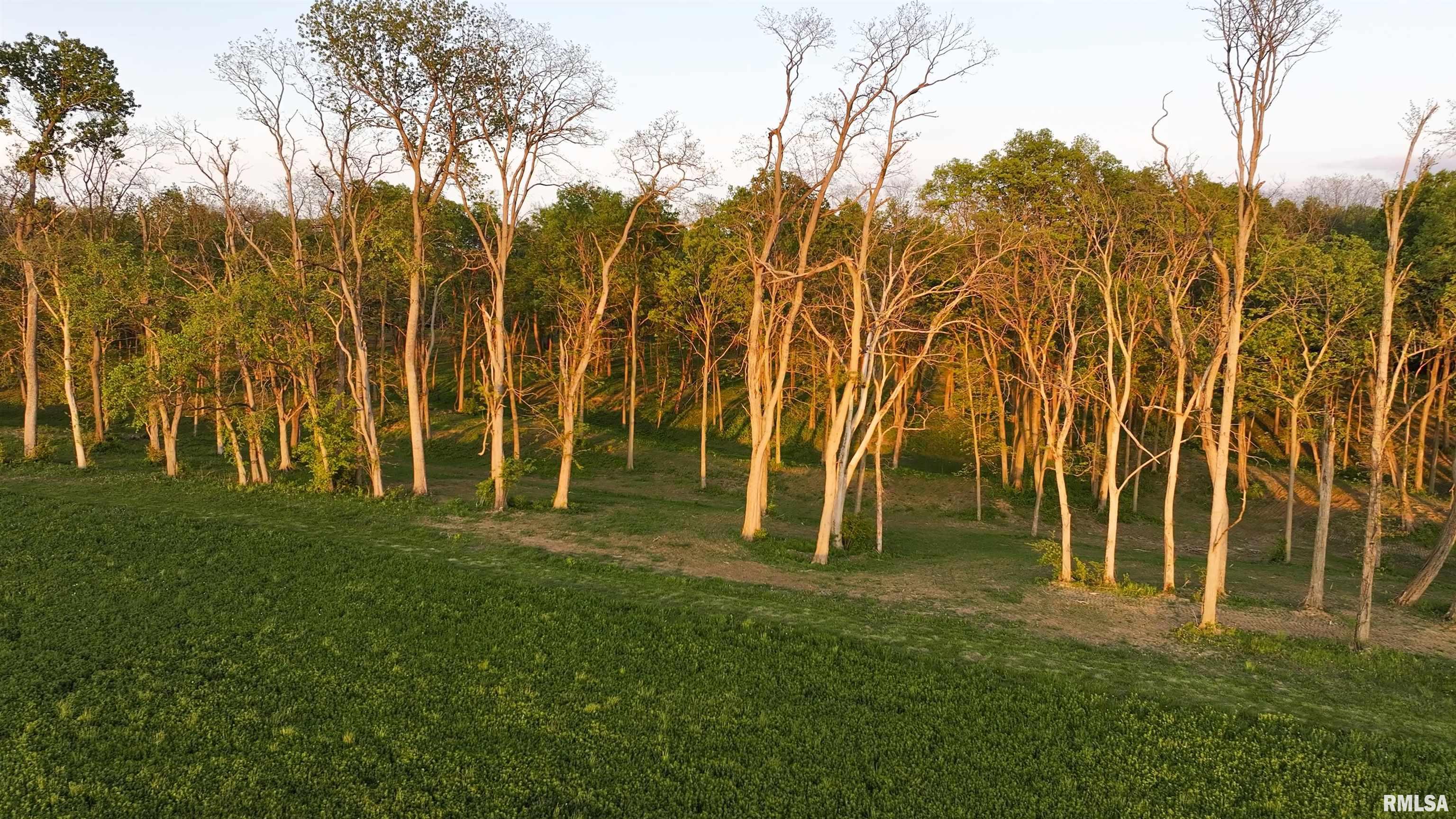 0 North Hardscrabble Road Sparland, IL 61565 - Photo 13 of 19