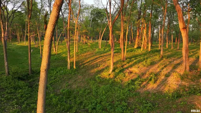 $279,900 | 0 North Hardscrabble Road, Sparland, IL 61565