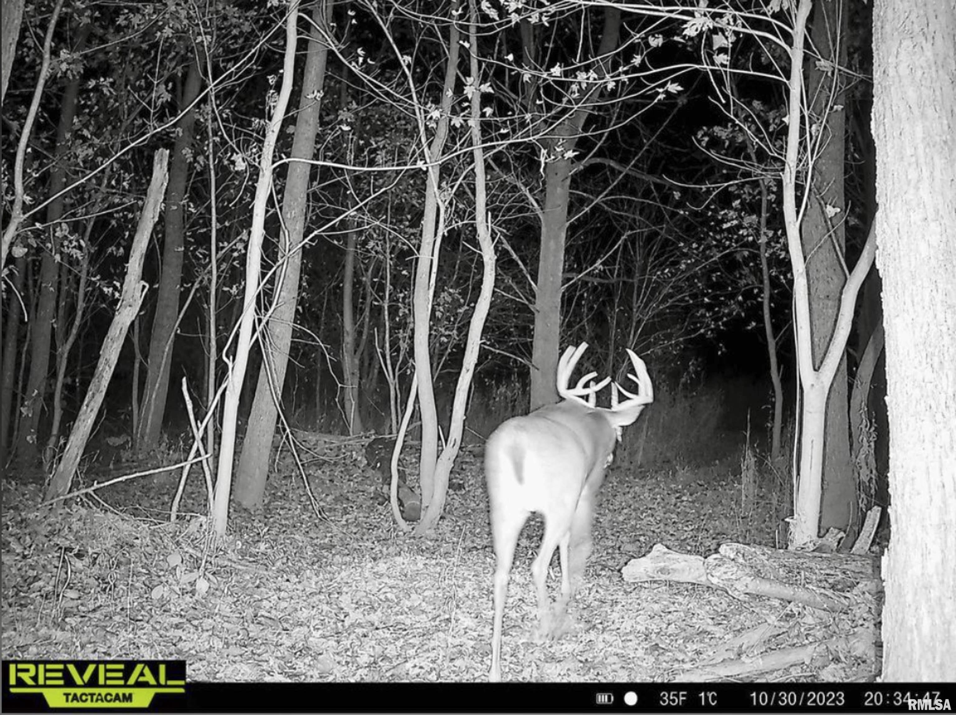 0 North Hardscrabble Road Sparland, IL 61565 - Photo 17 of 19