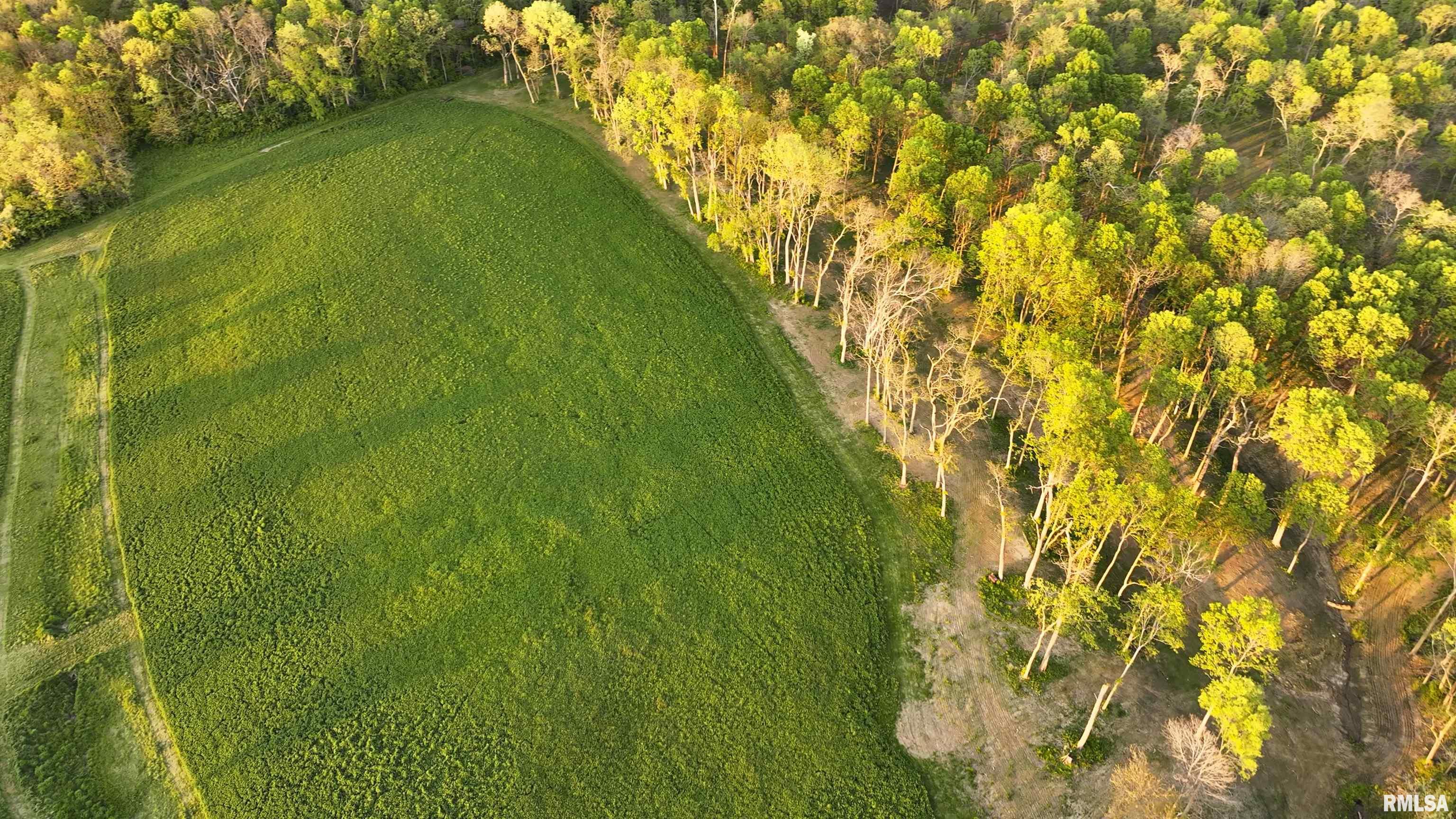 0 North Hardscrabble Road Sparland, IL 61565 - Photo 4 of 19