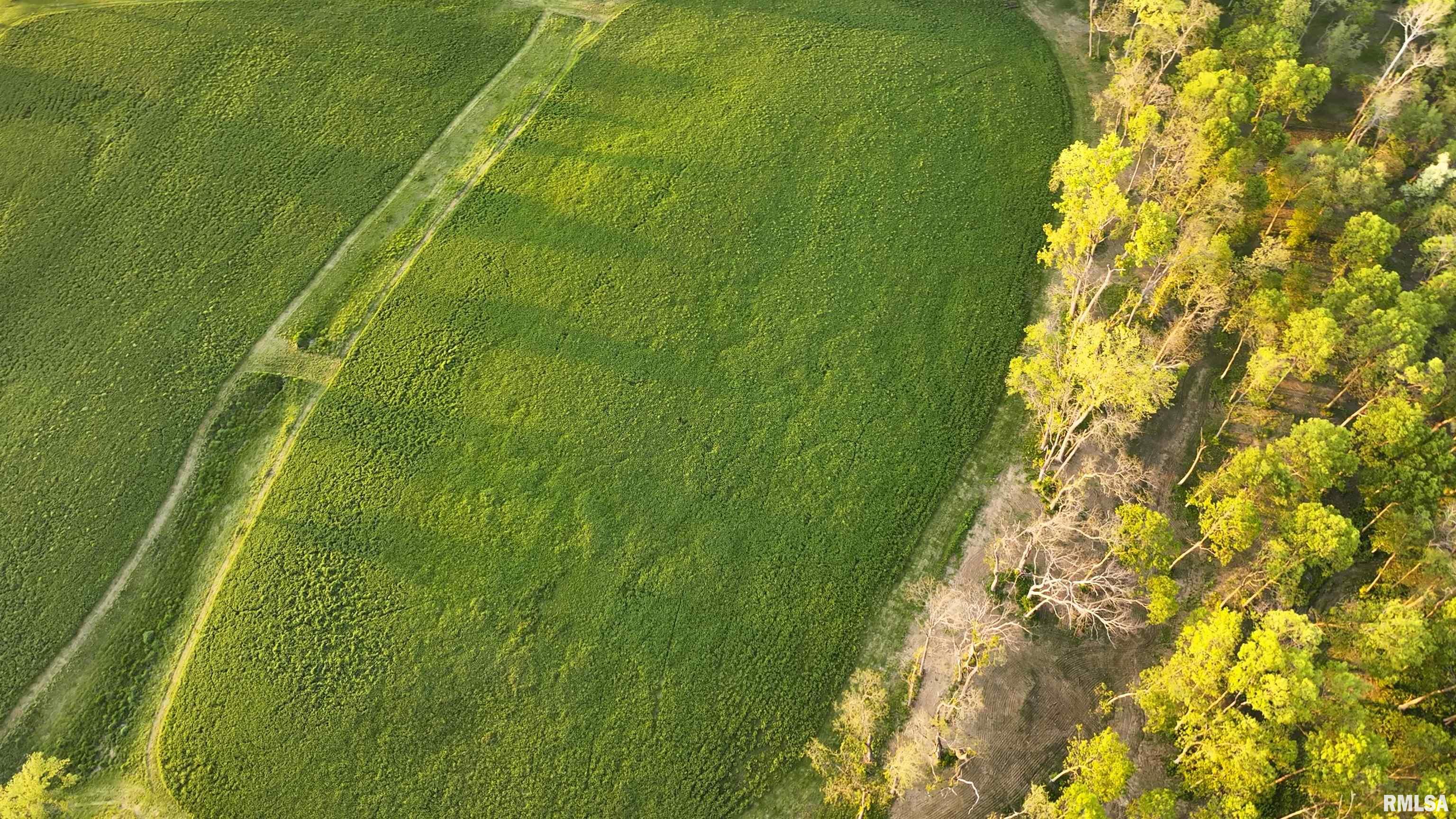 0 North Hardscrabble Road Sparland, IL 61565 - Photo 5 of 19