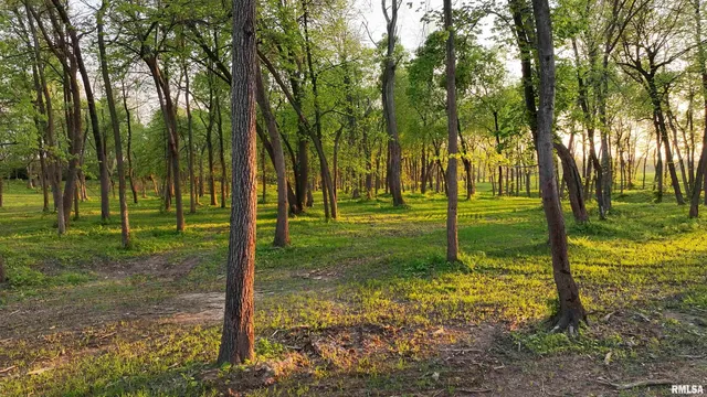 $279,900 | 0 North Hardscrabble Road, Sparland, IL 61565