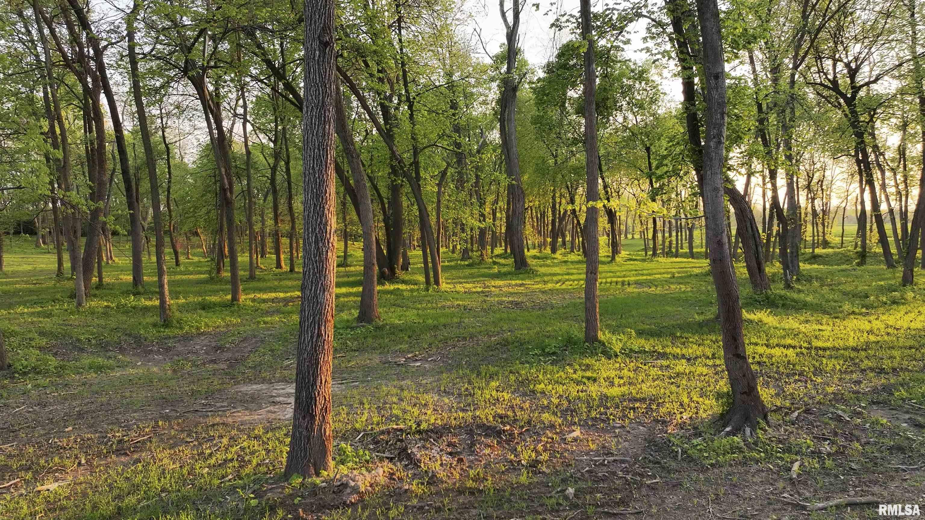 0 North Hardscrabble Road Sparland, IL 61565 - Photo 6 of 19