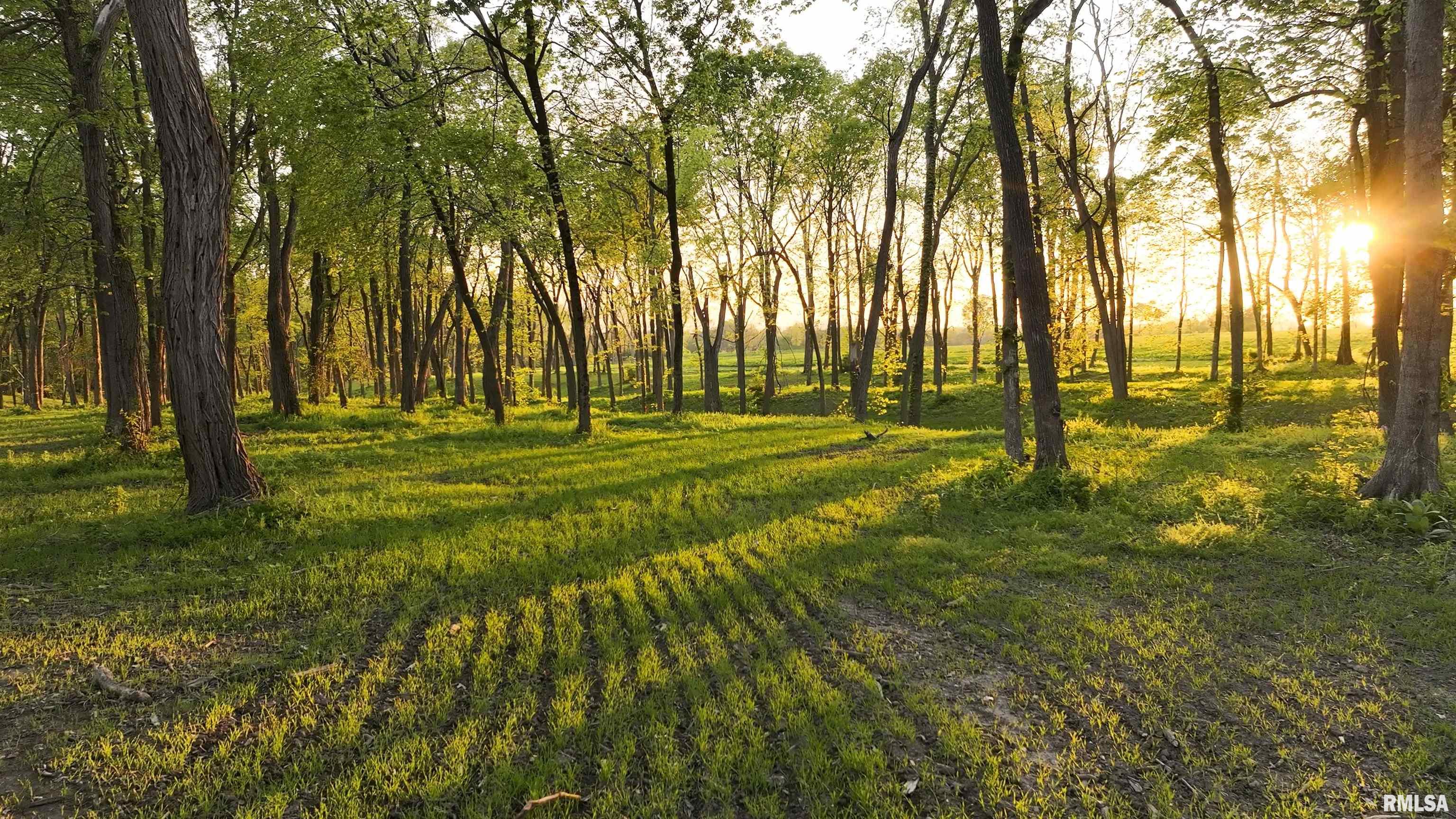 0 North Hardscrabble Road Sparland, IL 61565 - Photo 7 of 19