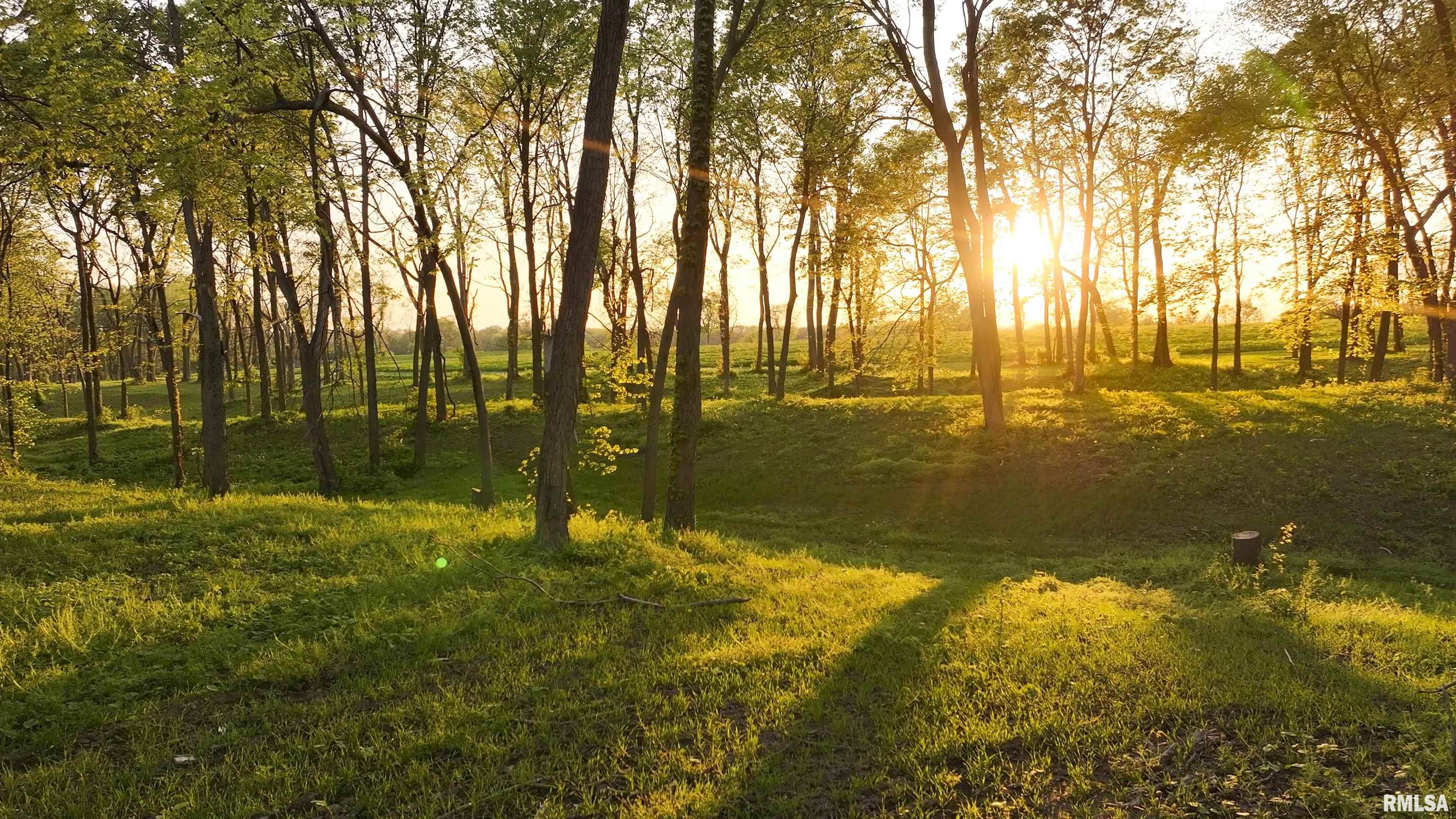 0 North Hardscrabble Road Sparland, IL 61565 - Photo 8 of 19