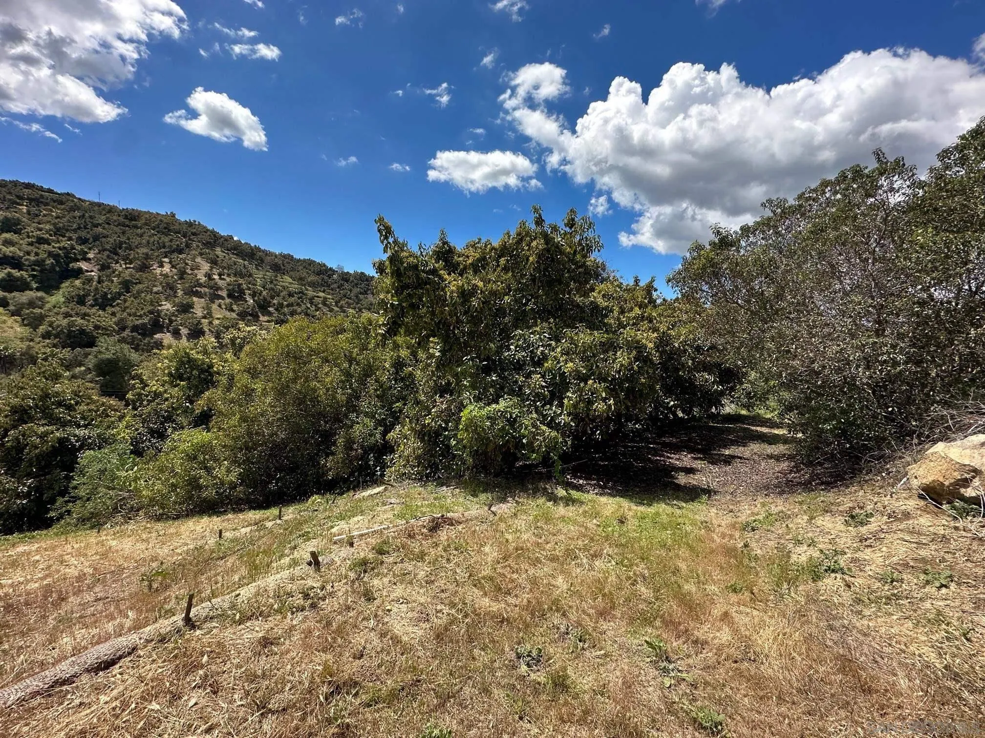 10448 Couser Way Valley Center, CA 92082 - Photo 13 of 17 a view of an outdoor space and a yard