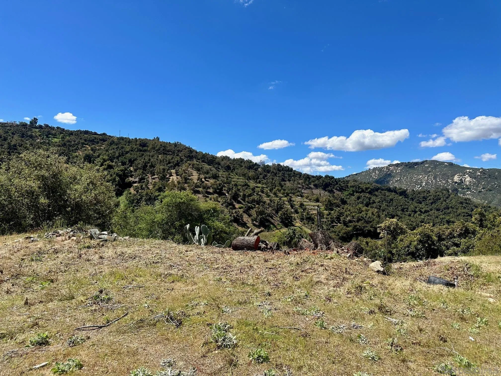 10448 Couser Way Valley Center, CA 92082 - Photo 8 of 17 a view of a dry yard with mountains in the background