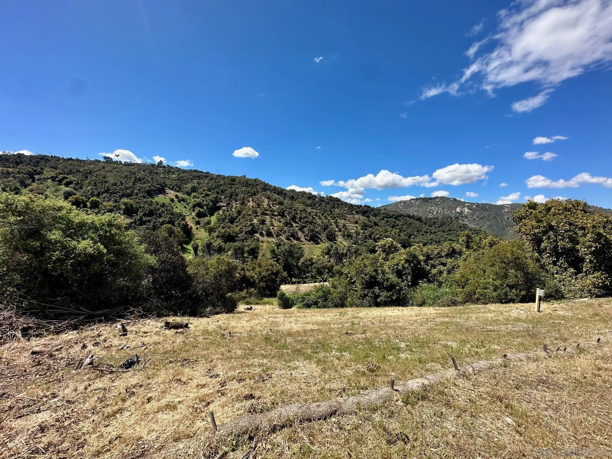 10448 Couser Way Valley Center, CA 92082 - Photo 10 of 17 a view of a yard