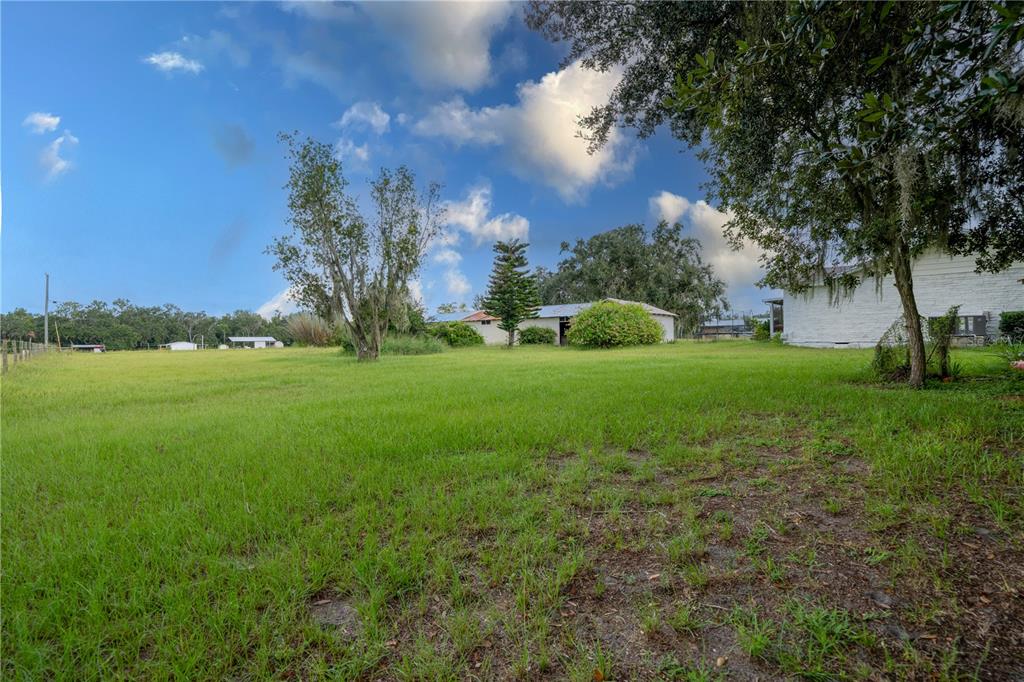 417 L Lanier Road Fort Meade, FL 33841 - Photo 32 of 36 a view of a trees with a big yard