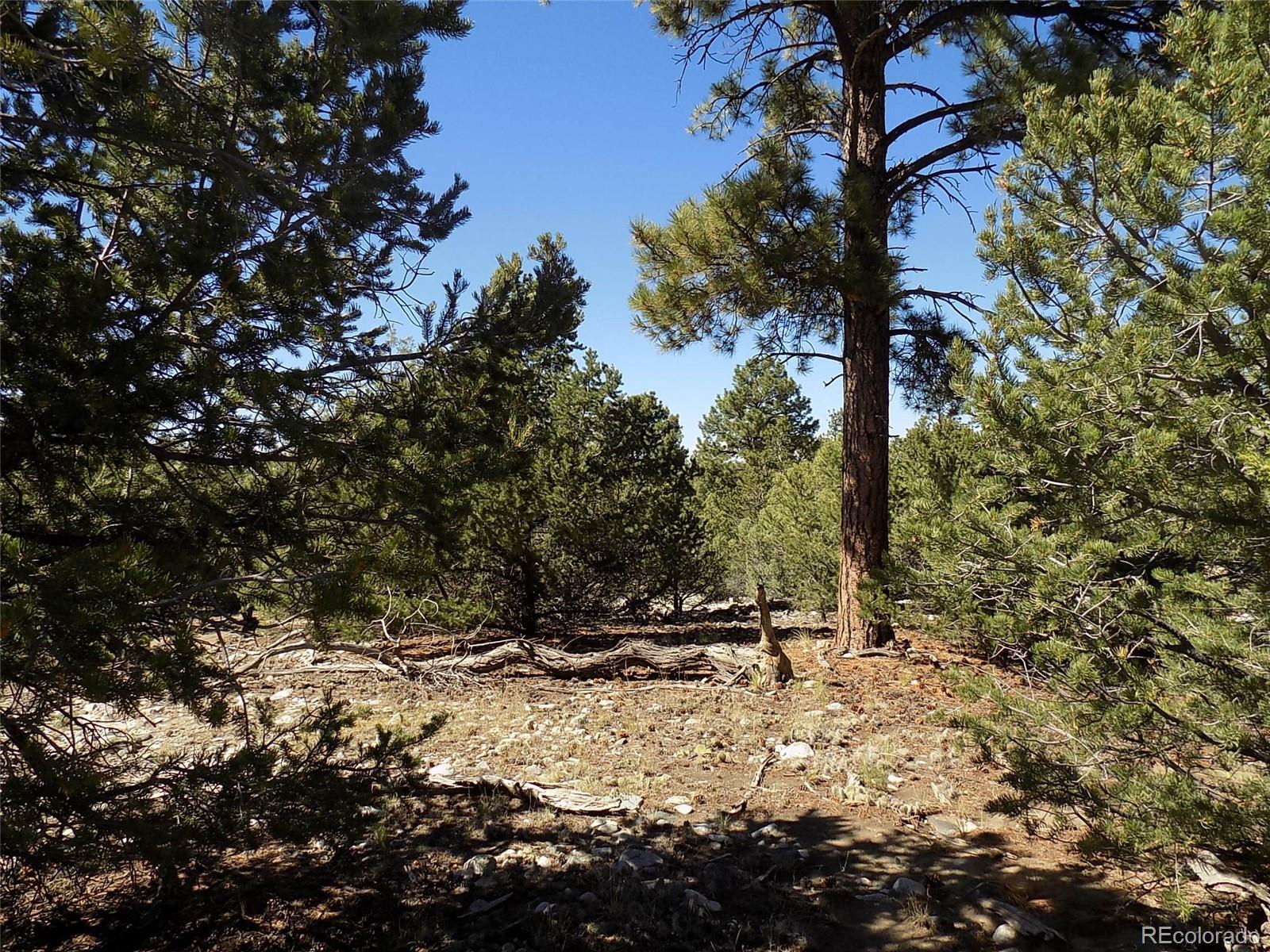 Mill Run Road Mosca, CO 81146 - Photo 1 of 26