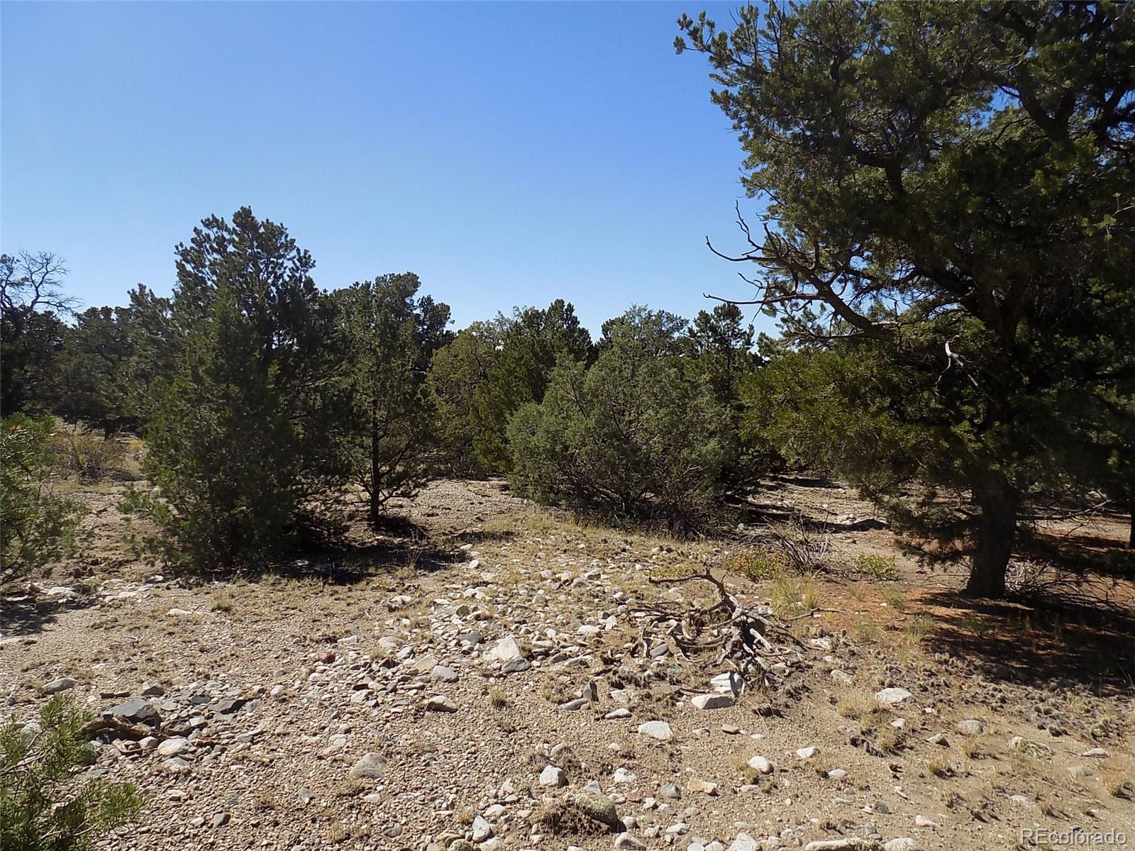 Mill Run Road Mosca, CO 81146 - Photo 11 of 26