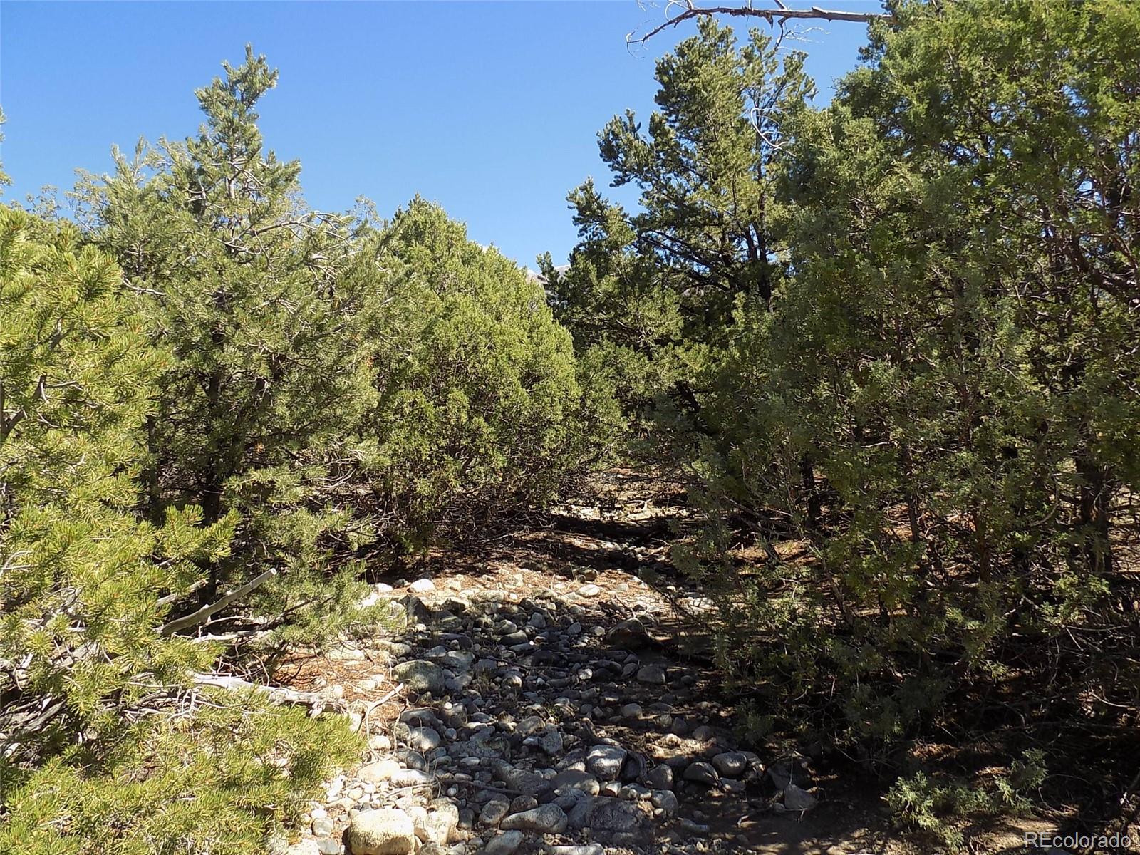 Mill Run Road Mosca, CO 81146 - Photo 12 of 26
