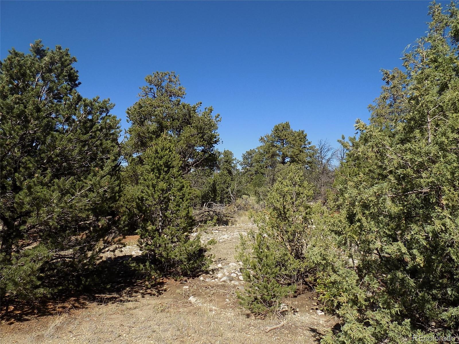 Mill Run Road Mosca, CO 81146 - Photo 13 of 26