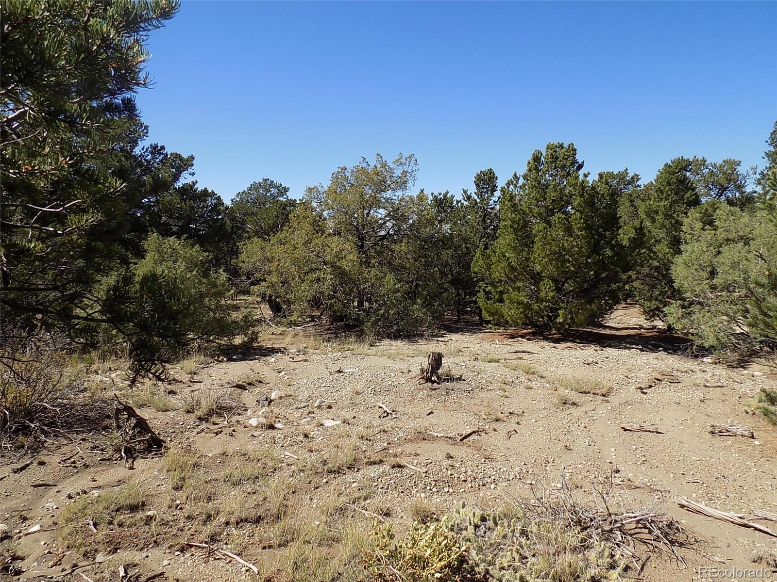 Mill Run Road Mosca, CO 81146 - Photo 14 of 26