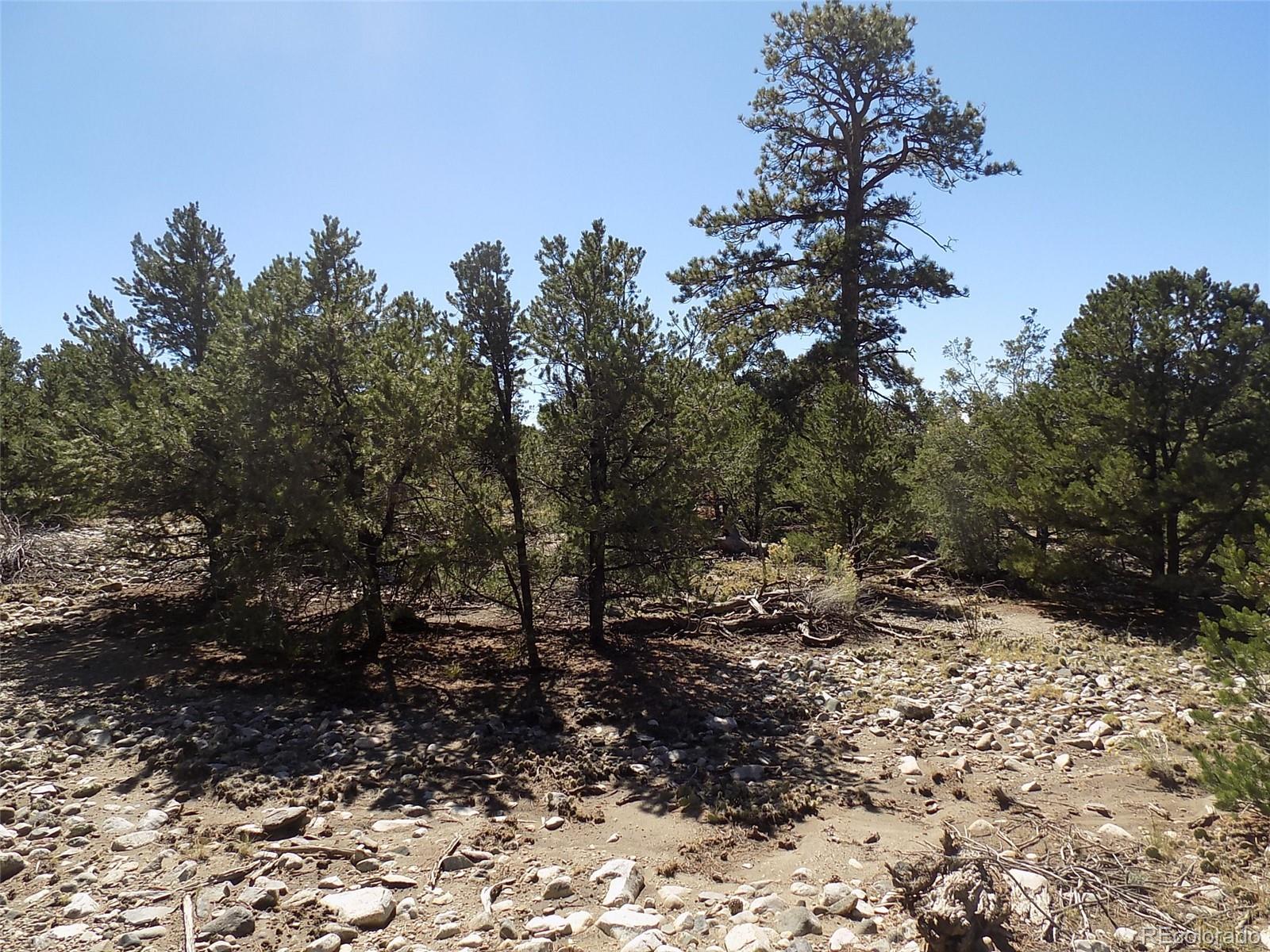 Mill Run Road Mosca, CO 81146 - Photo 2 of 26