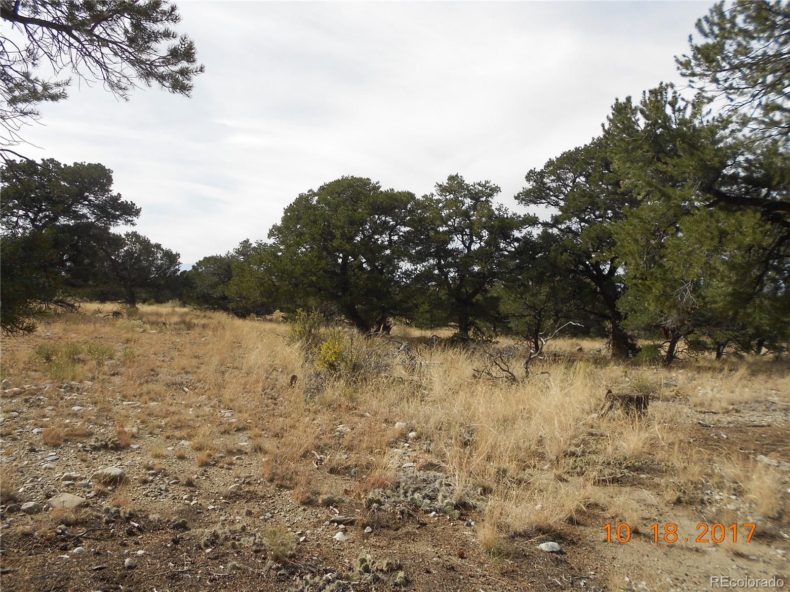 Mill Run Road Mosca, CO 81146 - Photo 24 of 26