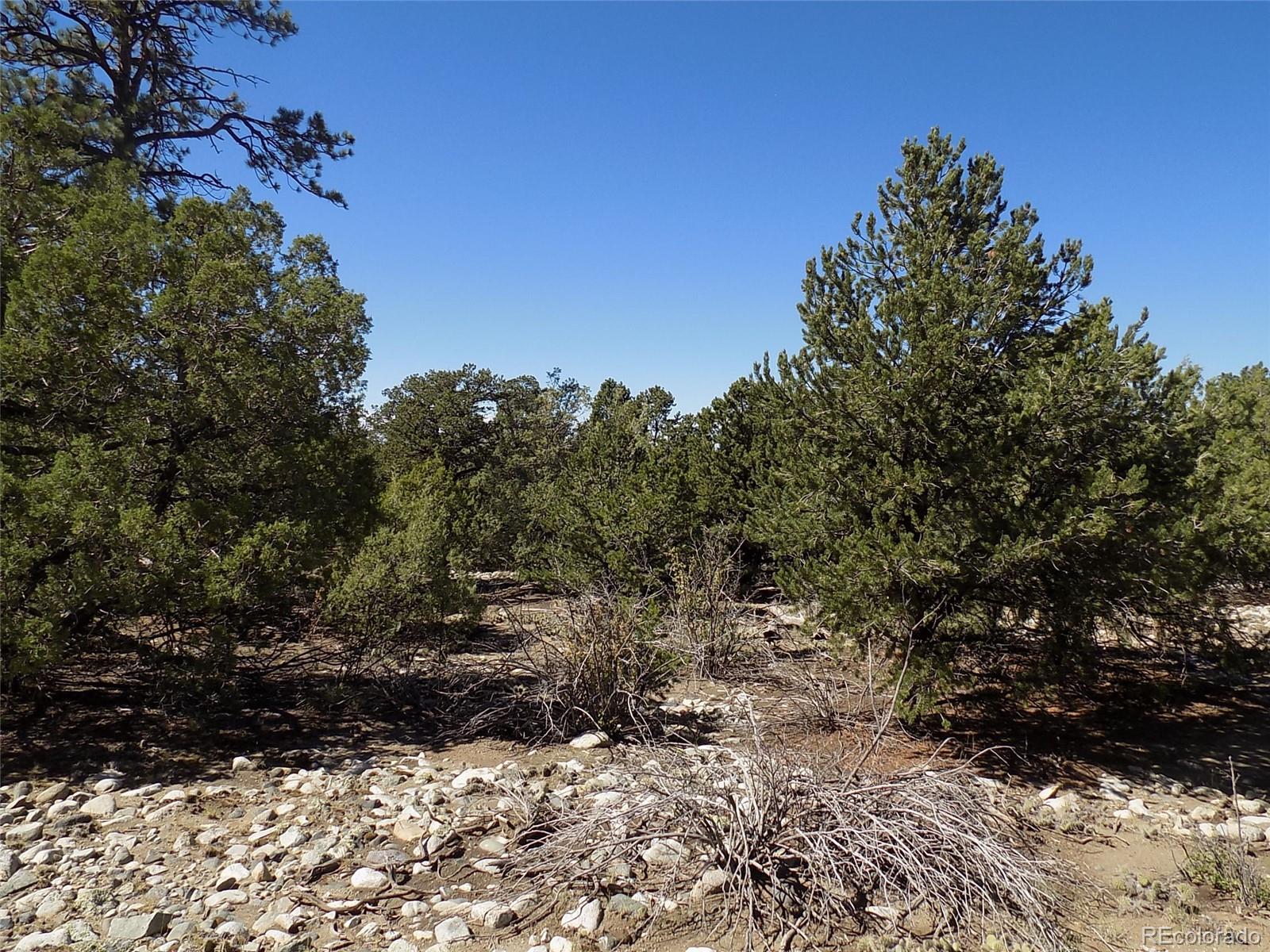 Mill Run Road Mosca, CO 81146 - Photo 4 of 26