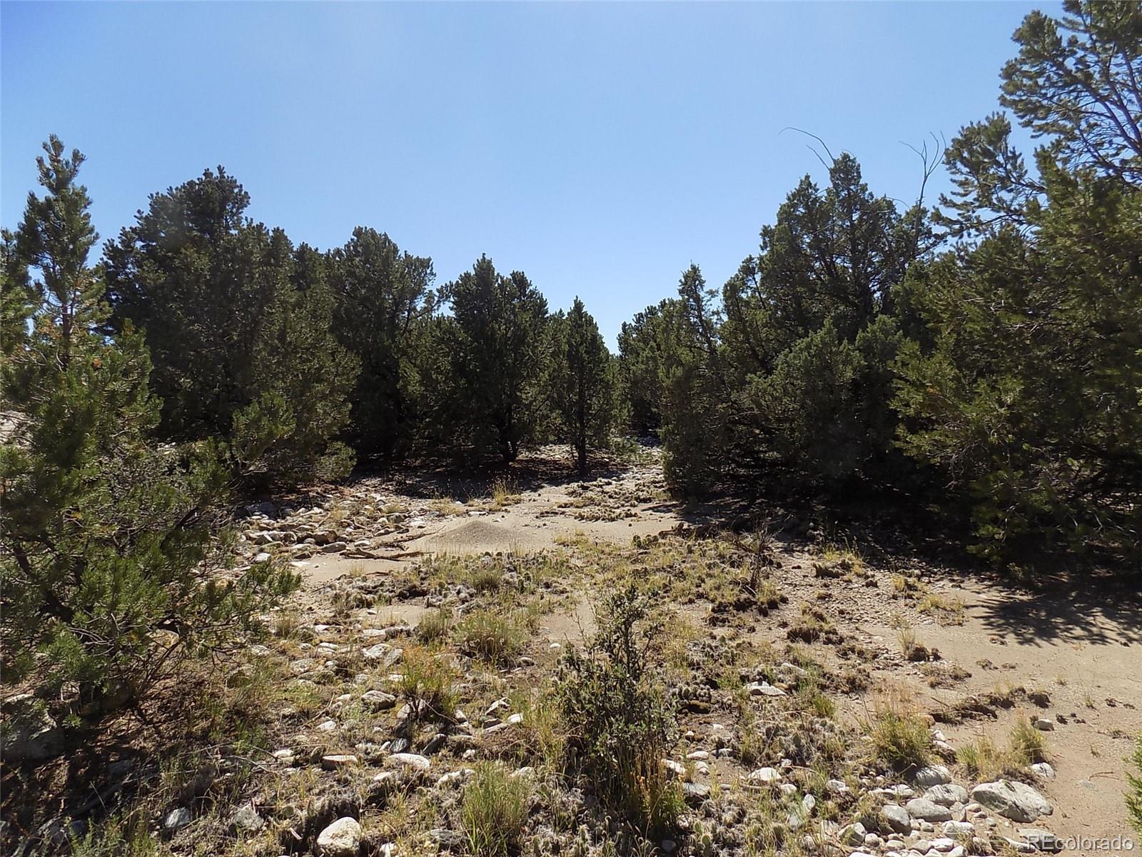 Mill Run Road Mosca, CO 81146 - Photo 7 of 26